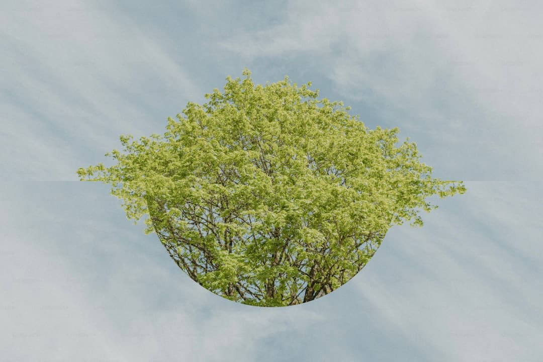 缅甸代总统敏瑞因病去世